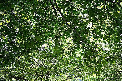 Hazelight《双人成行》已售出超过2000万份